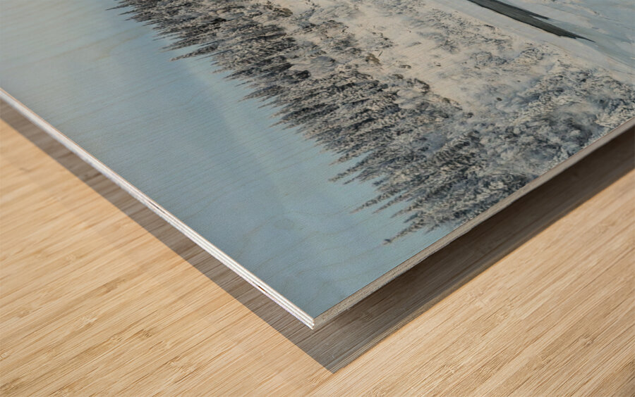 Lady Evelyn Winter Wonderland Wood print