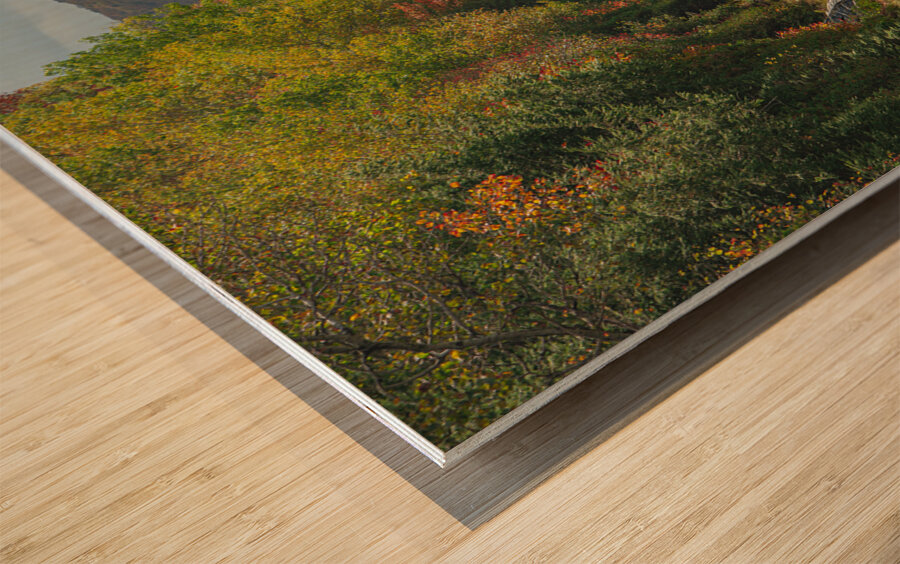 Lake Willoughby Autumn Road Wood print