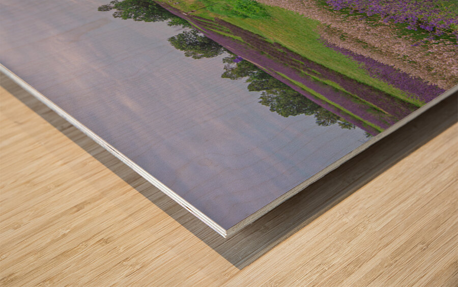Lavender Field Dreams Wood print