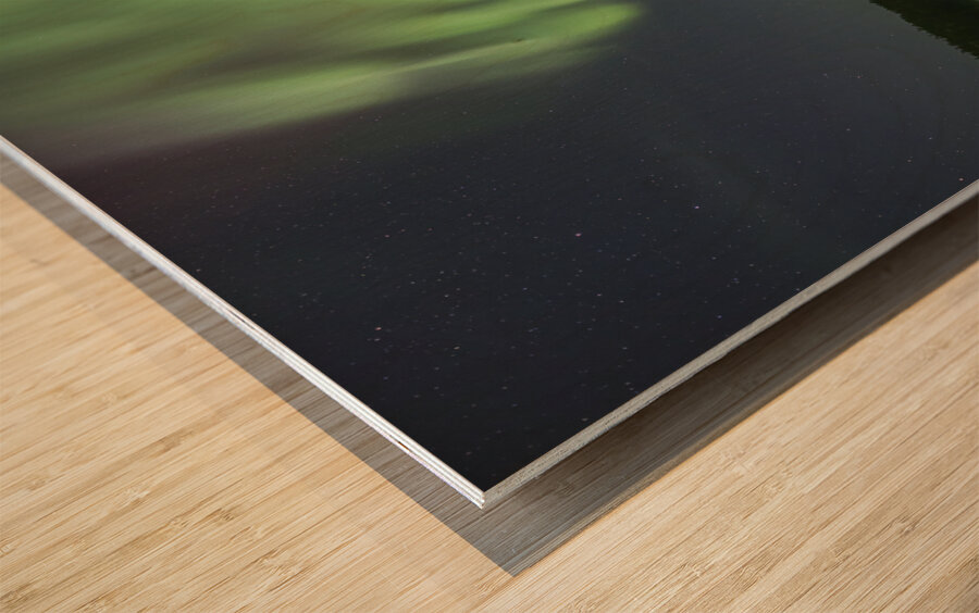 Madeline Lake Aurora Grandeur Wood print