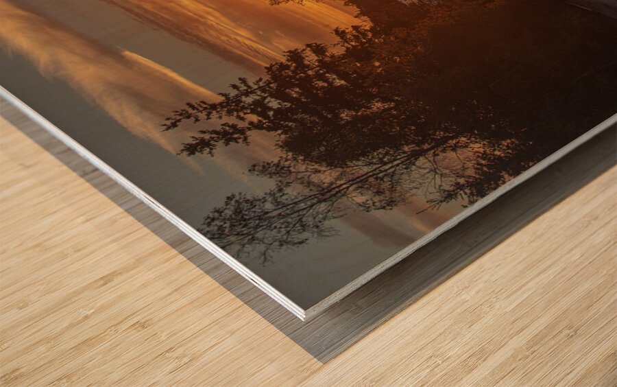 Majesty of the Midnight Sun Impression sur bois