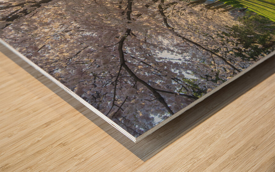 Morning Spring Freshness Wood print