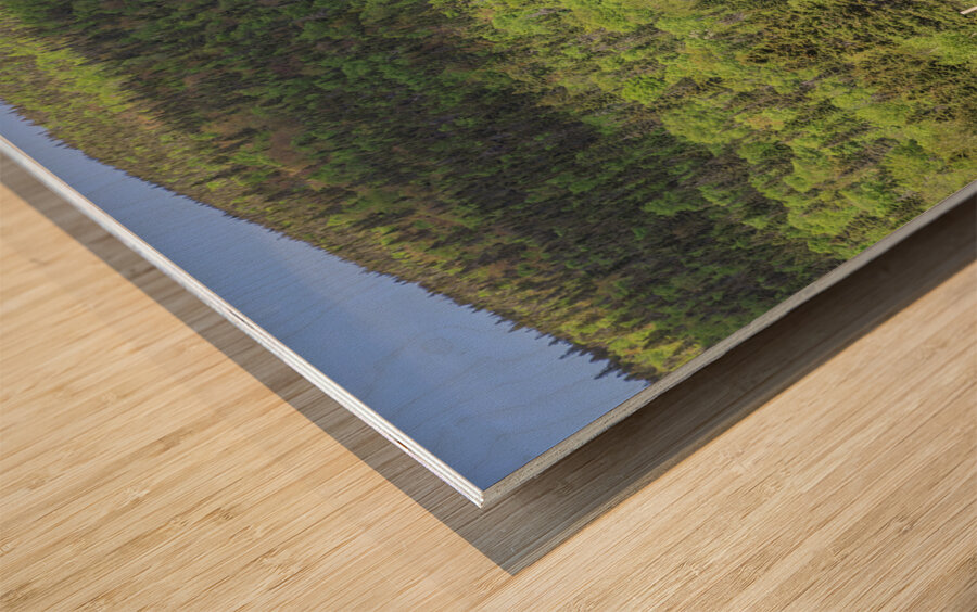 Mountain Road in Forillon National park Wood print