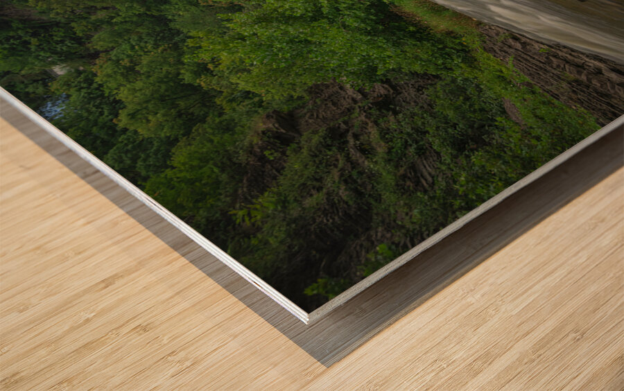 Summer at Ithaca Falls Wood print