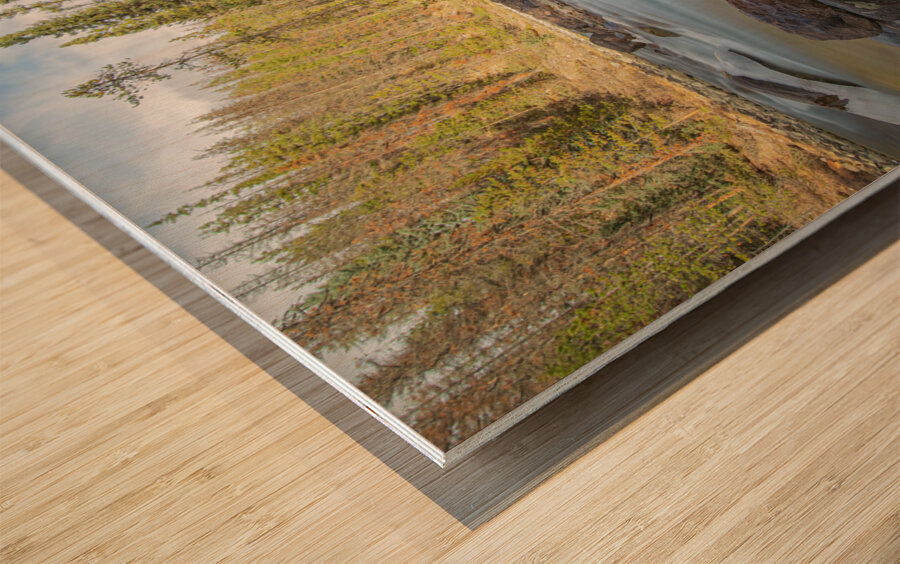 Sunwapta River Beauty Impression sur bois