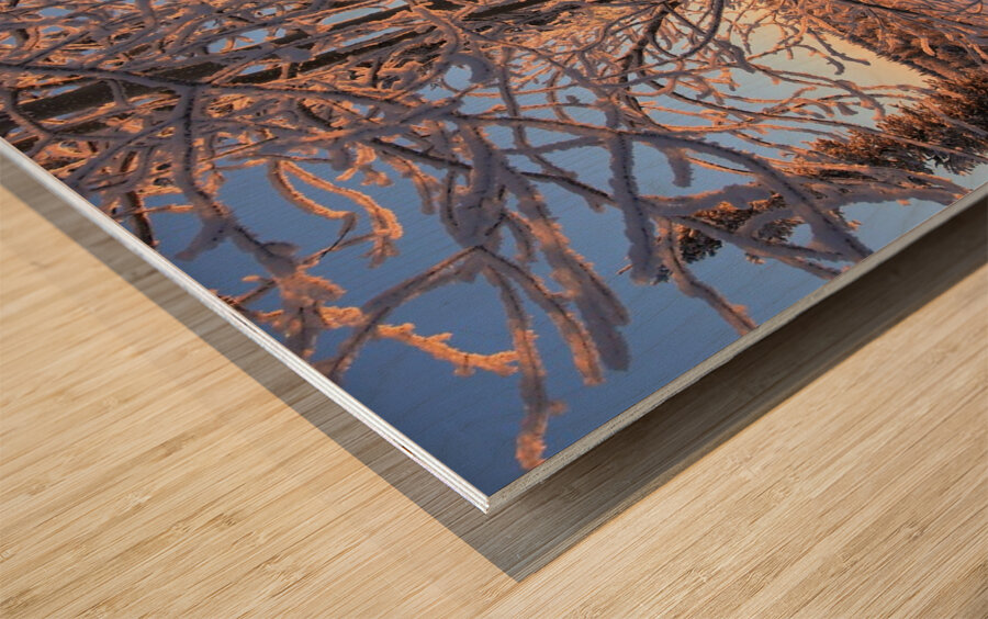 Winter Morning Frost Sunburst Wood print
