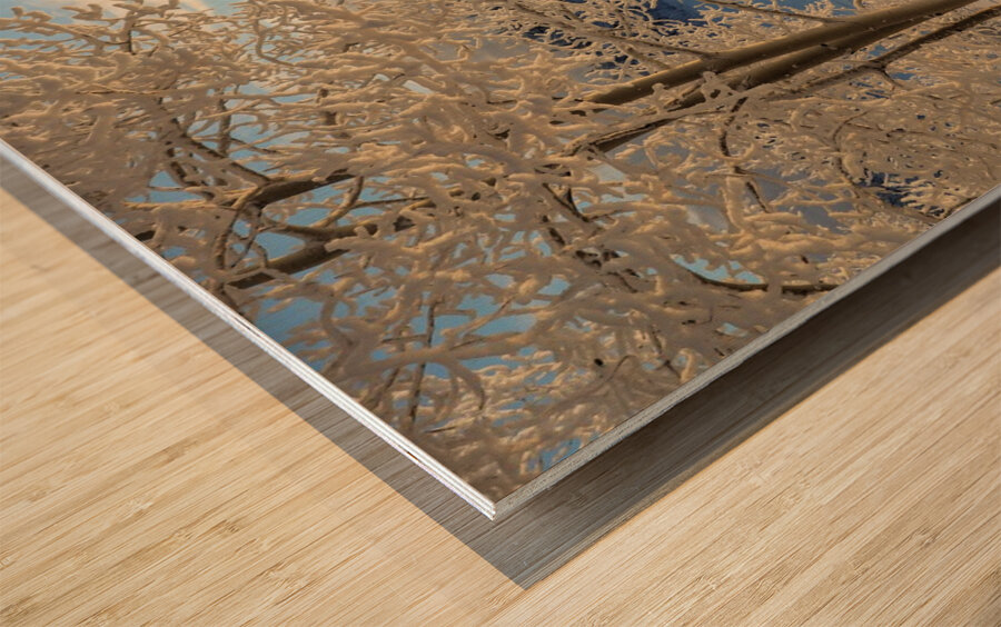 Winter wonderland frost Wood print