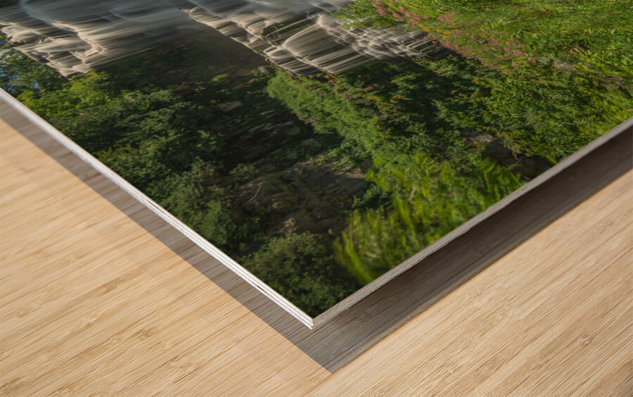 Summer at Chittenango Falls Wood print