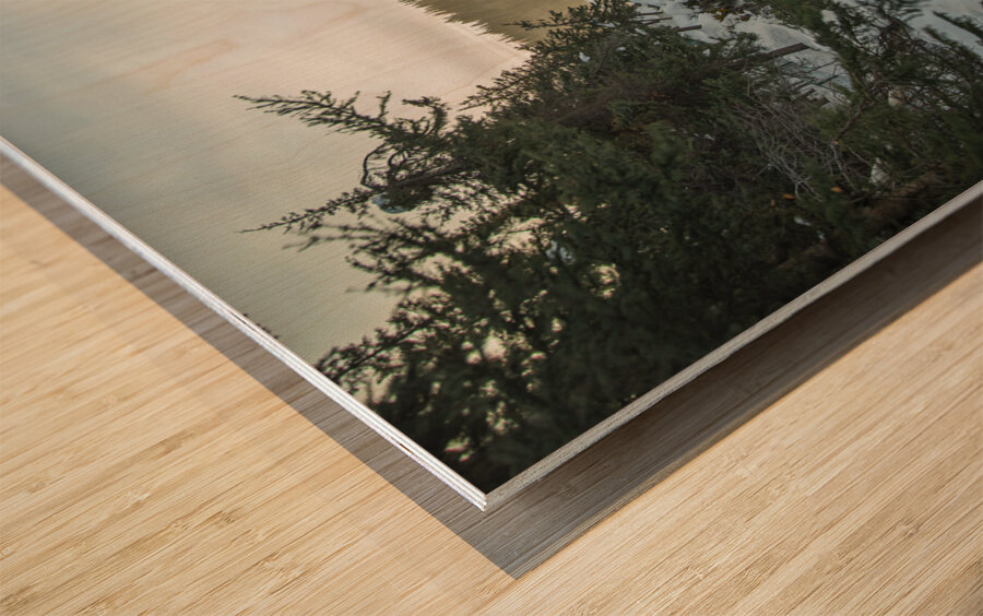 Lady Evelyn falls Winter Thaw Wood print