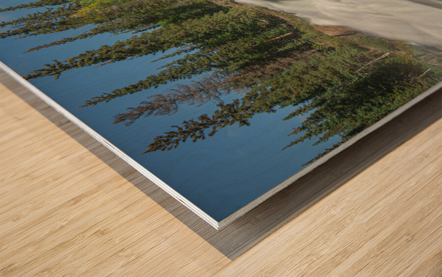 Summer Rampart Falls Majesty Wood print