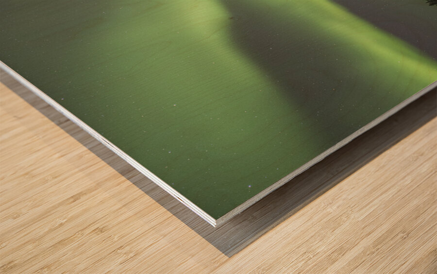 Ingraham Aurora Ribbons Wood print