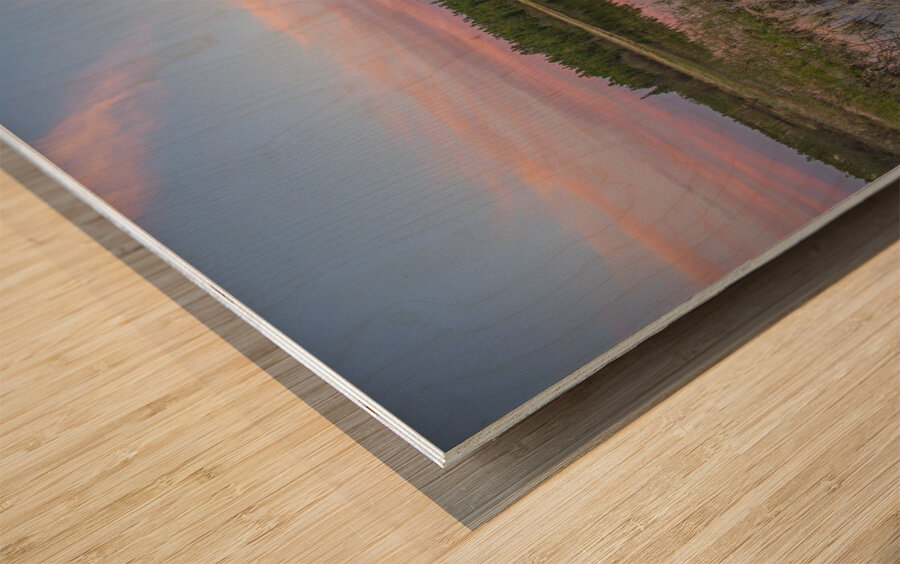 Jackfish Lake cotton candy Reflections Wood print