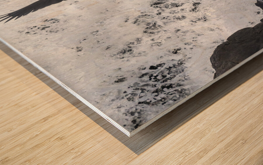 Blue Heron flight Takeoff Wood print