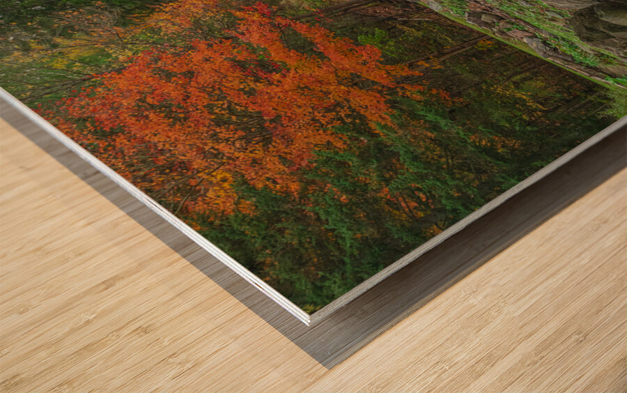 Mohawk Falls Autumn Magic Wood print