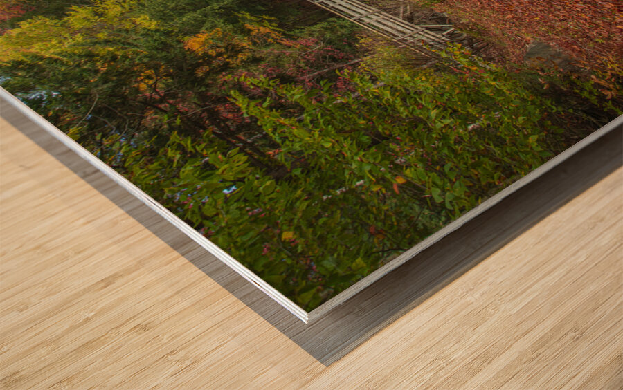 Magical Autumn Path to Bridge Wood print