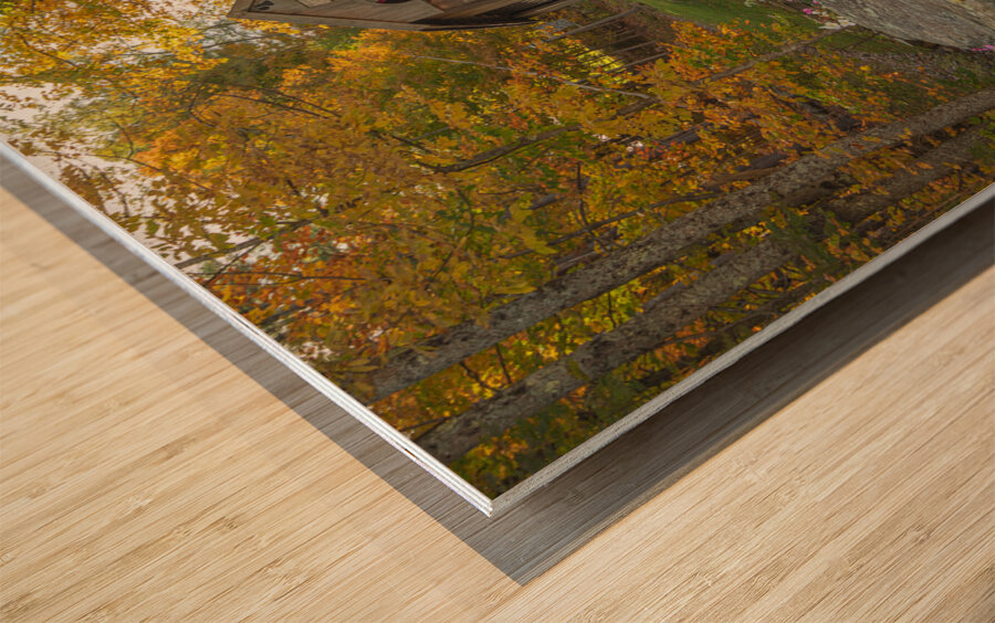 Autumn walk to Tannery Hill Bridge Wood print