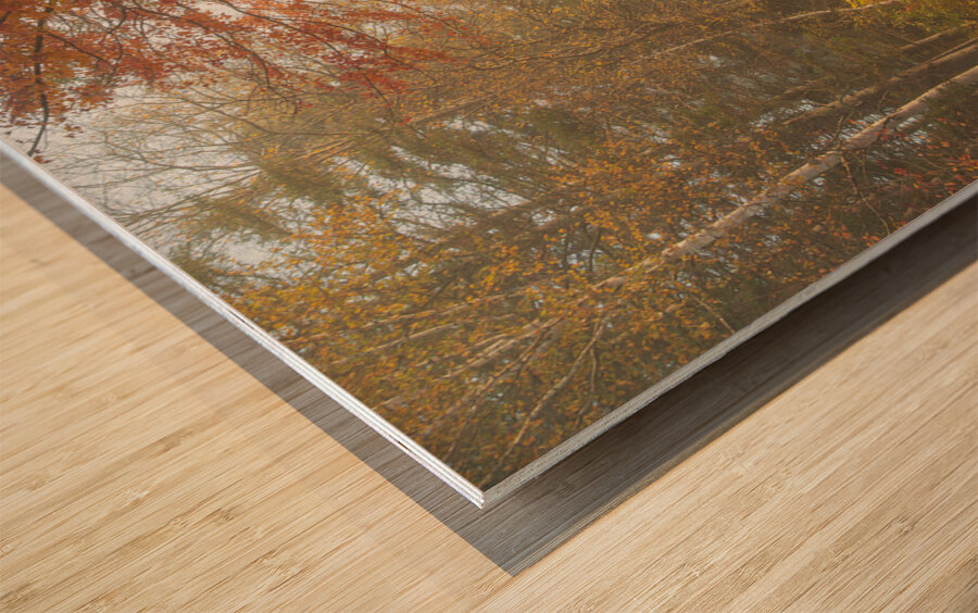 Foggy Morning Autumn Road Impression sur bois