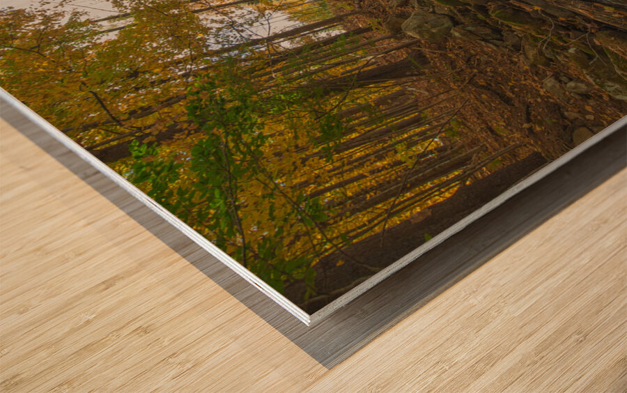 Autumn River Paradise Wood print