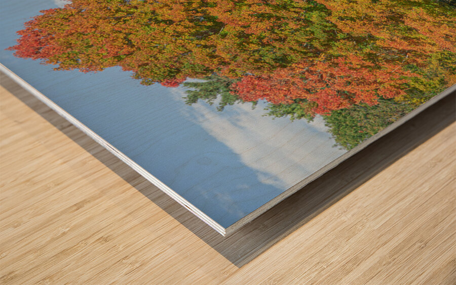 Autumn Maple Magic Impression sur bois
