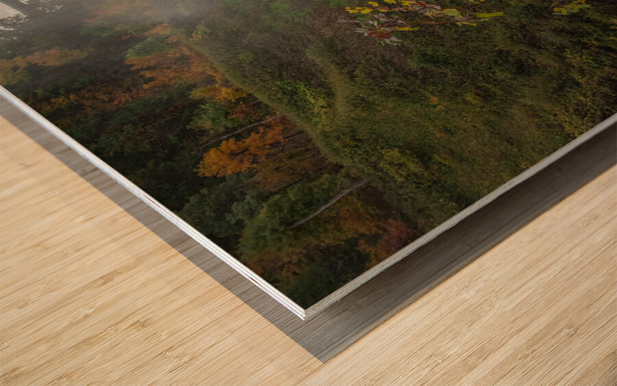 Autumn Wonderland at Upper Falls Wood print