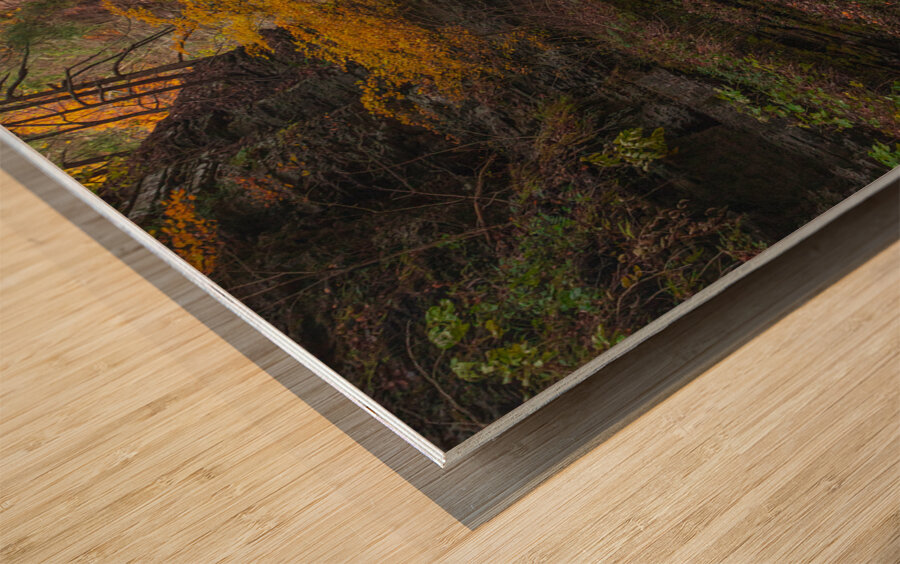 Autumn Gorge Paradise Wood print