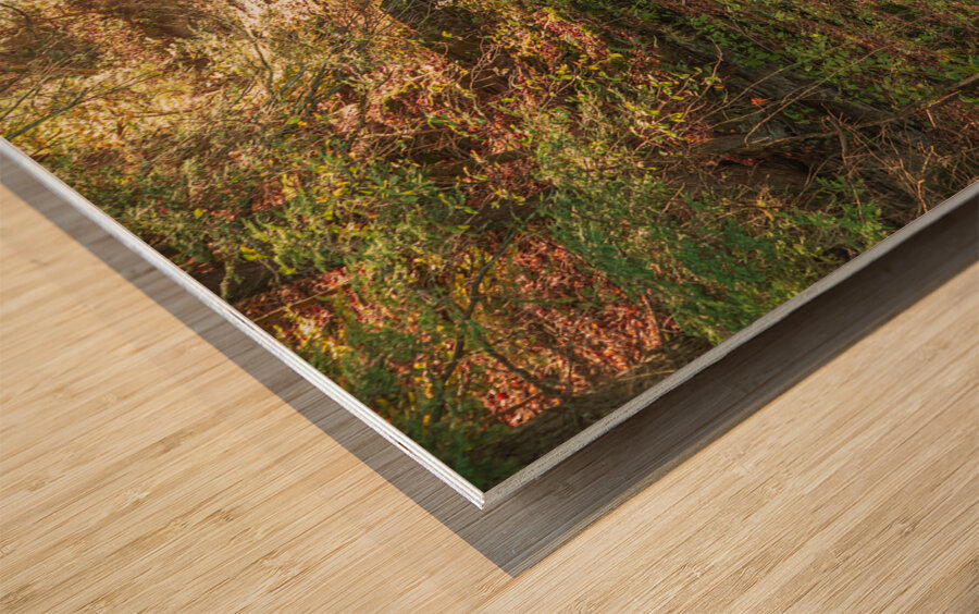 Autumn Waterfall Magic Wood print