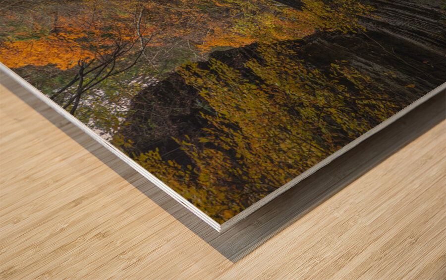 Autumn Fantasy Bridge Wood print