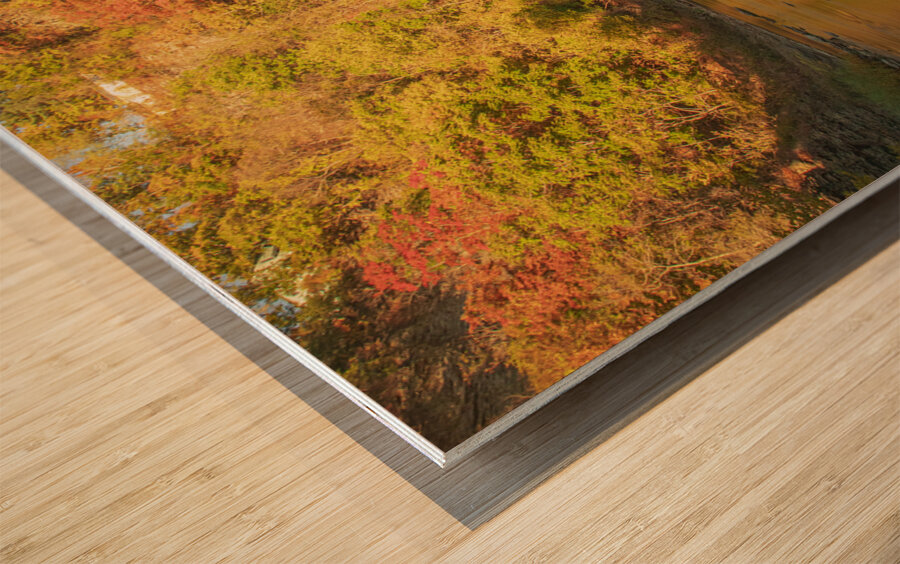 Autumn Paradise at Ithaca Falls Wood print