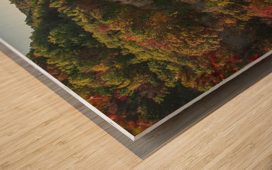 Inspiration Point Overlook Autumn Magic Wood print