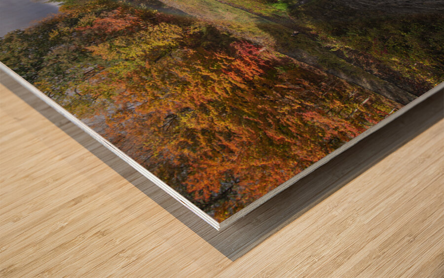 Letchworth Rainbow Gorge Magic Wood print