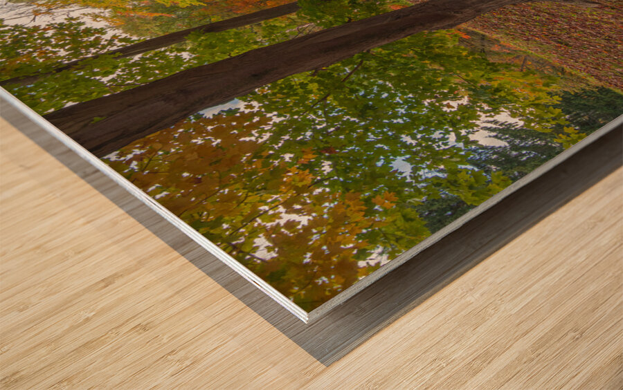 Letchworth Old Stone Walkway Wood print