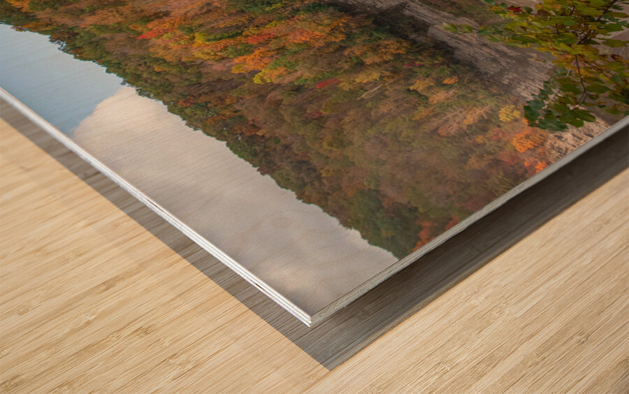 Autumn Splash At Middle Falls Wood print