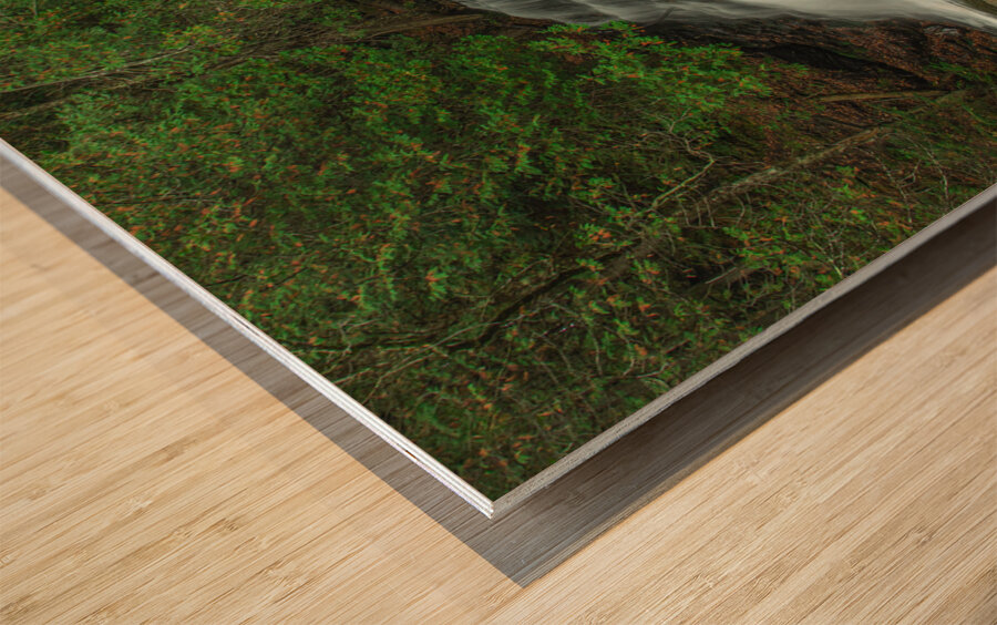 Beaver Brook Falls Wood print