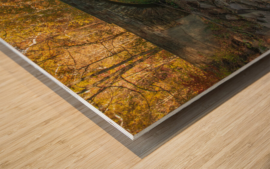 Autumn Stone Bridge Wood print