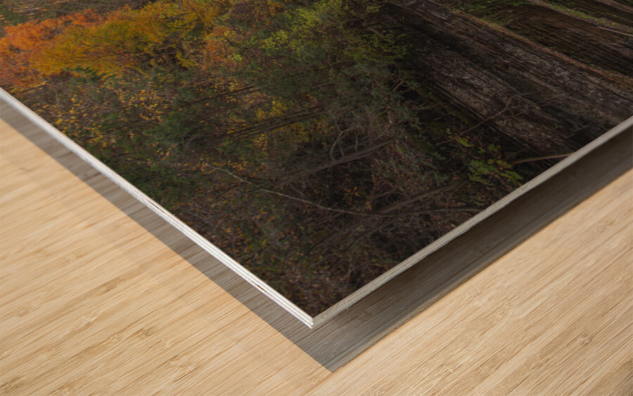 Autumn Cascading Falls Wood print