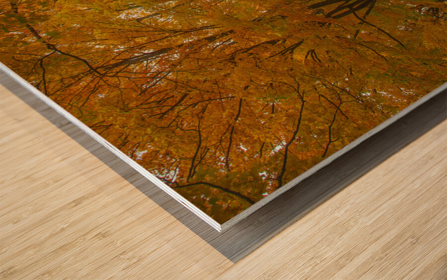 Enchanted Autumn Wonderland Pathway  Wood print