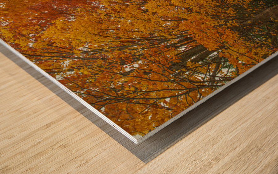 Rural Autumn Road Splendor  Wood print