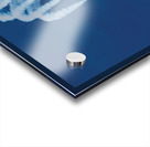 Camaraderie Acrylic print