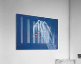 Camaraderie Acrylic Print