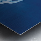 Camaraderie Metal print