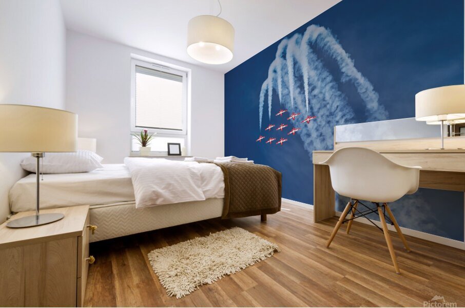 Camaraderie Mural print