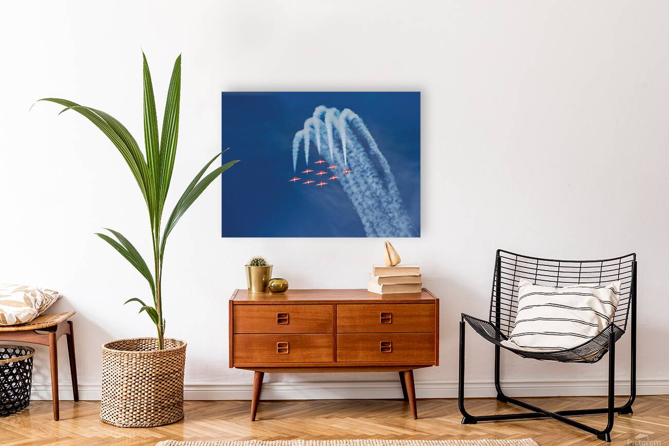 Camaraderie Reproduction