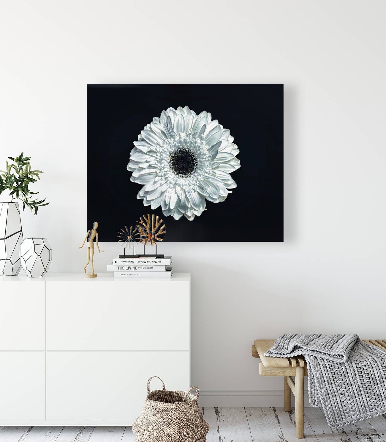 White Daisy 1 Reproduction