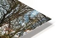 Serenity 1 HD Metal print