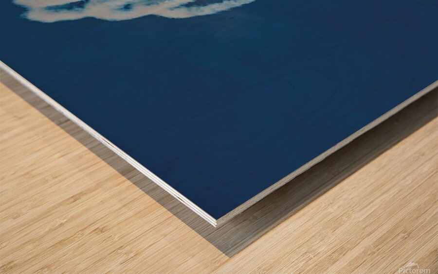 Camaraderie Wood print