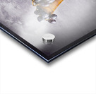 Grapes by Silo Acrylic print