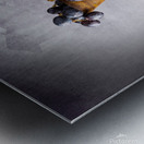 Grapes by Silo Metal print