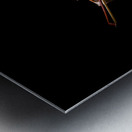 Violin and Books in Gold Metal print