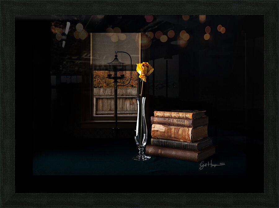 Yellow Rose by Window Picture Frame print