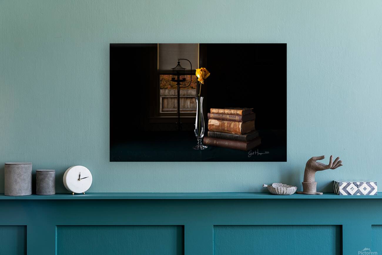 Yellow Rose by Window Reproduction